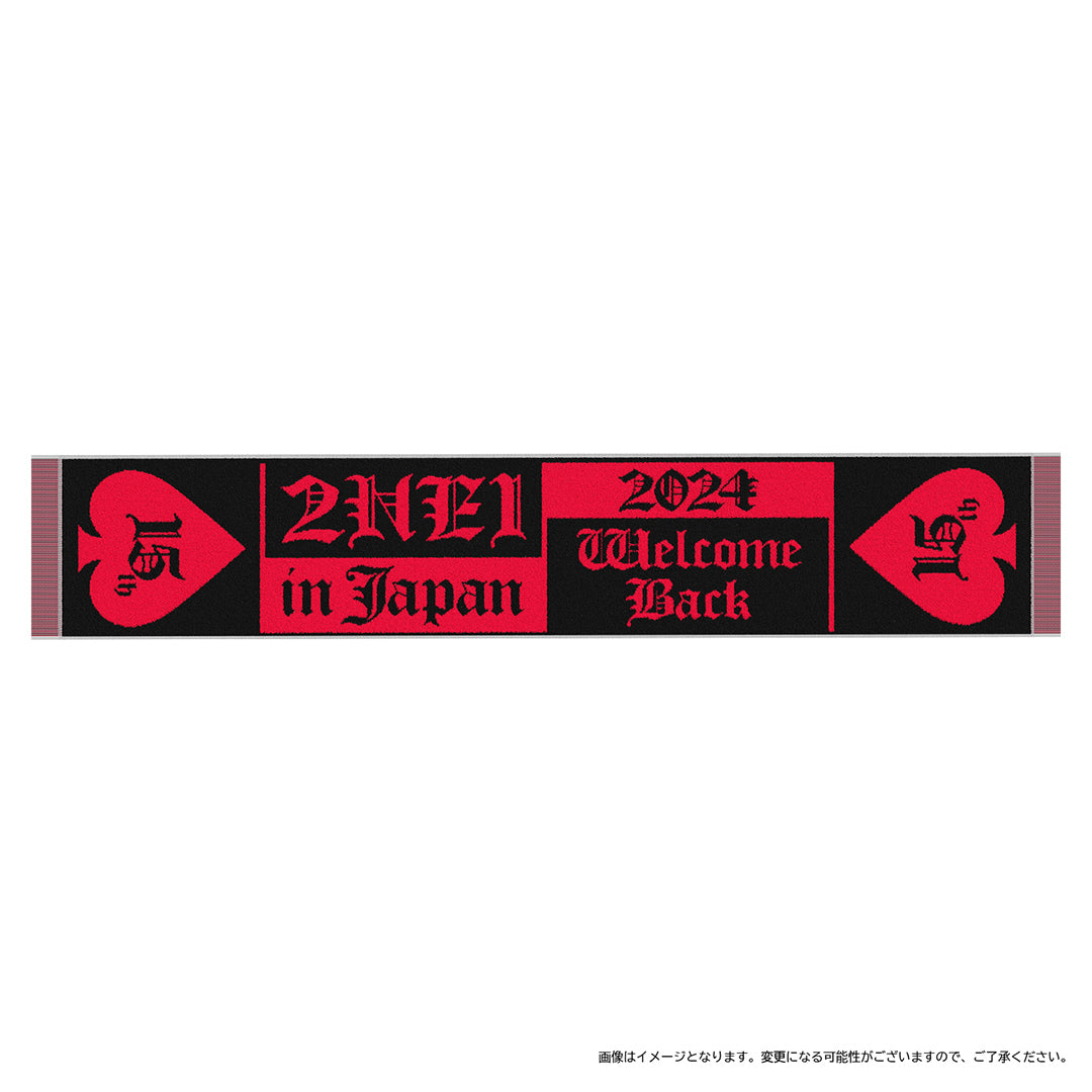 
                  
                    フリンジ付き ジャガードタオル（RED）
                  
                