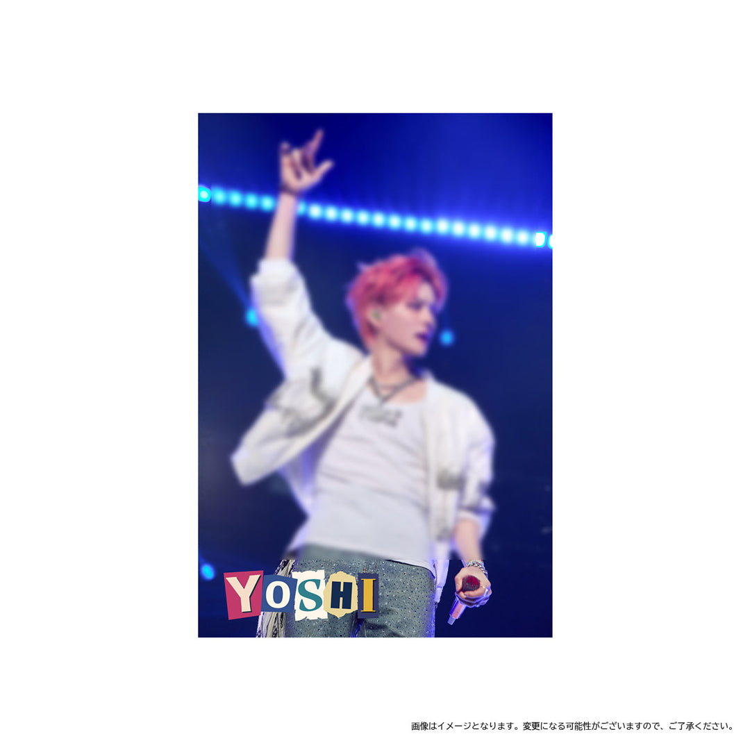 ポストカードB（YOSHI） – YGEX OFFICIAL SHOP