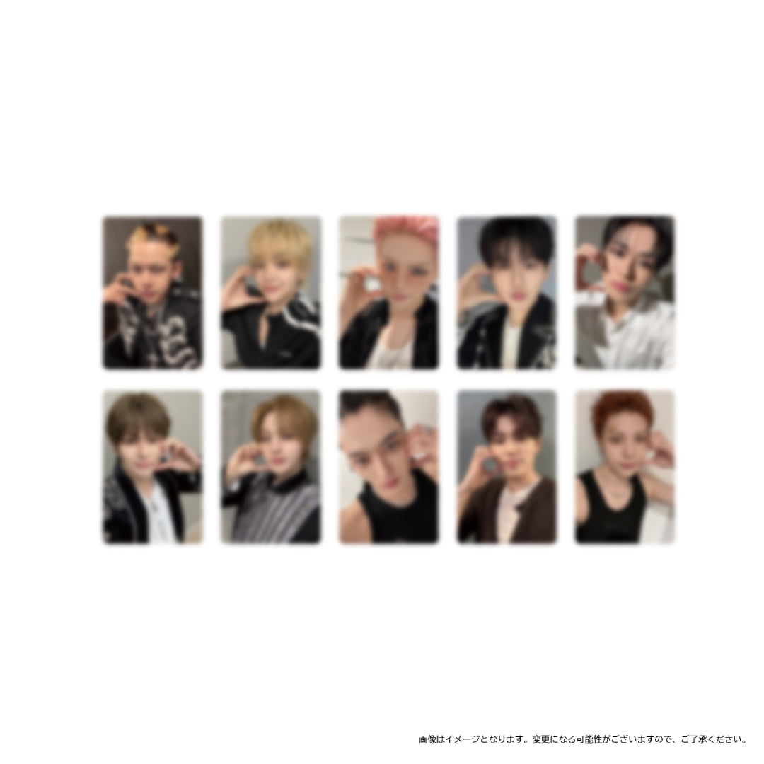 
                  
                    カードファイル（フォトカード ランダム全10種）
                  
                